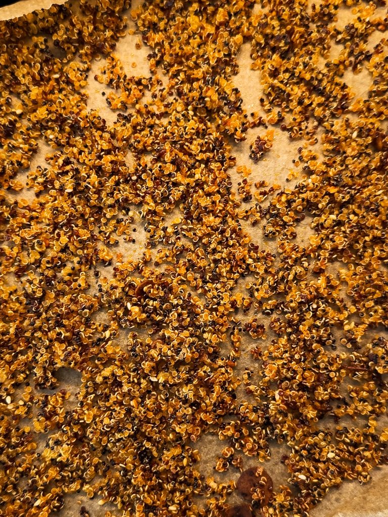 sophia sofire quinoa salad
